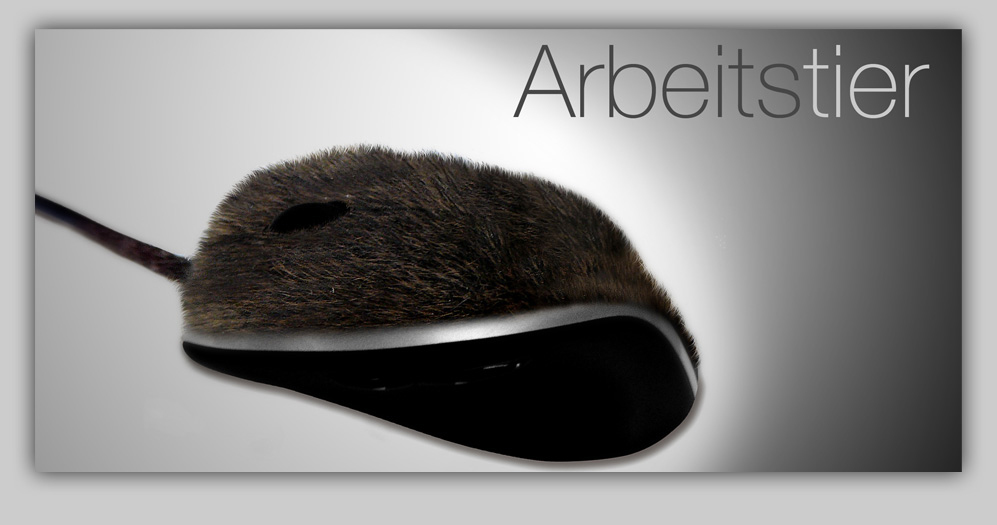 Arbeitstier Reinhold Lamers