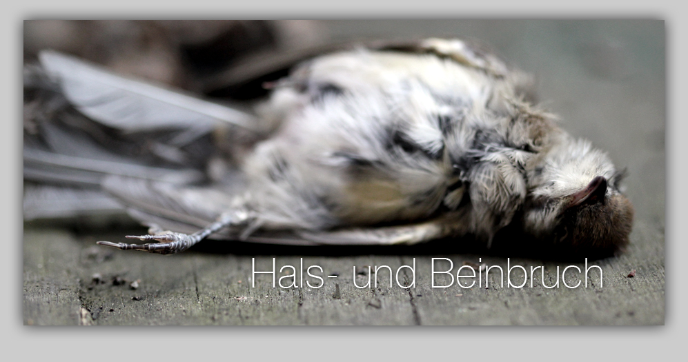 Hals- und Beinbruch Reinhold Lamers