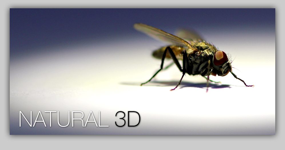 Natural 3D Reinhold Lamers